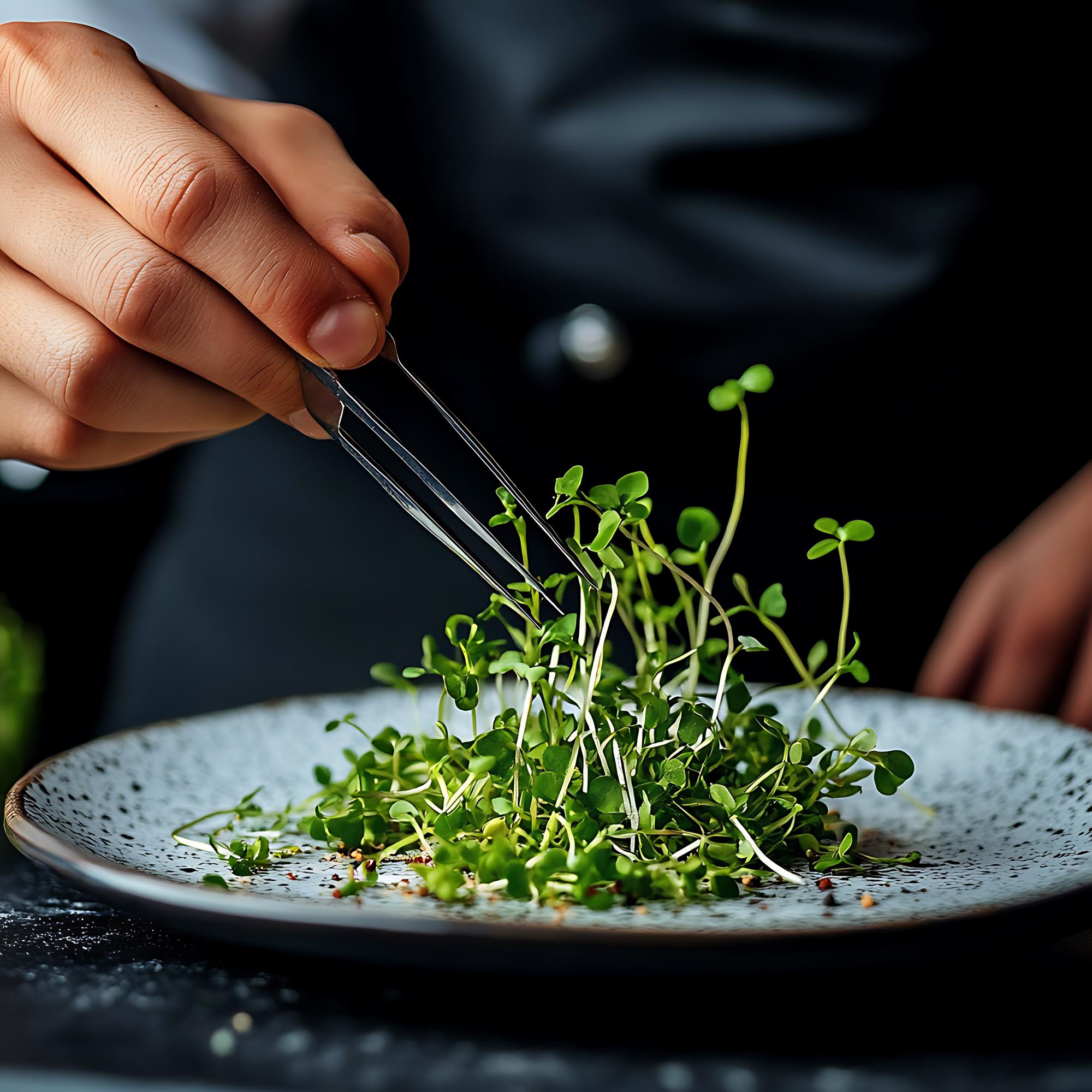 Chef hands arranging microgreens